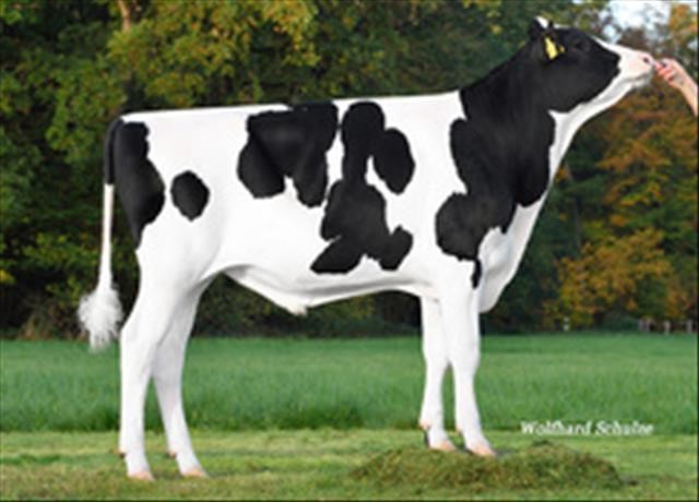 Самуель П Ет