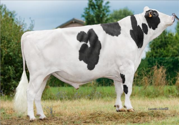 Г.Р.Ванхален Ет